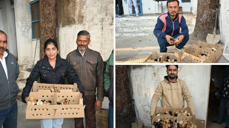 घर बैठे रोजगार का सशक्त माध्यम बनी प्रदेश सरकार की बैकयार्ड पोल्ट्री स्कीम